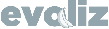Evoliz